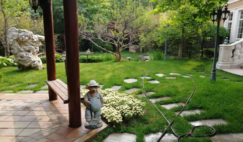 北京园林设计施工养护  绿植养护  别墅景观设计哪里找